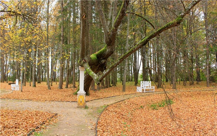 Золотая Осень в Берново с Имани. Mini Imani от Kaye Wiggs