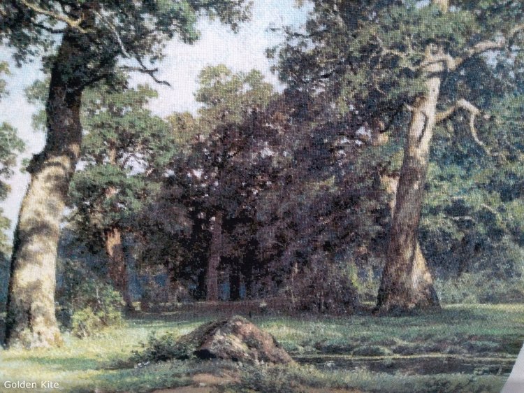 Не пойду в Кащенко!!! Часть вторая. Доктор сказал: "В морг..." (фото 8)