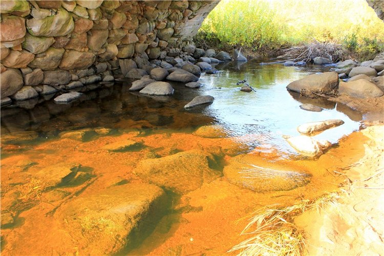 Путешествие Dal Hangry в Грузины