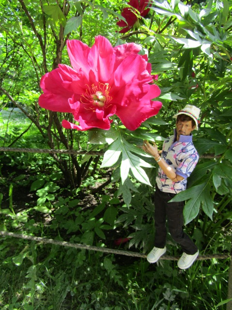 Тони Старк: приключения без брони. И снова Аптекарский огород | Бэйбики Тони Старк: приключения без брони. И снова Аптекарский огород