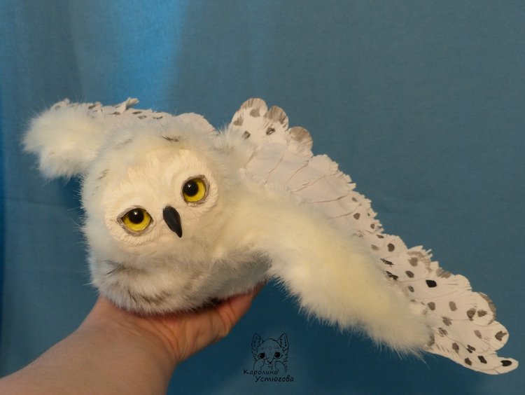 Полярные совы. Стремящиеся в полет