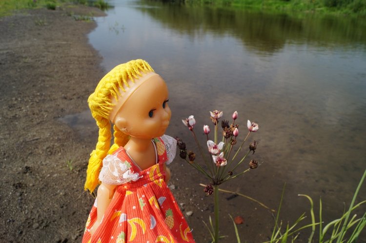 За хорошими эмоциями с семьёй на речку (фото 9)