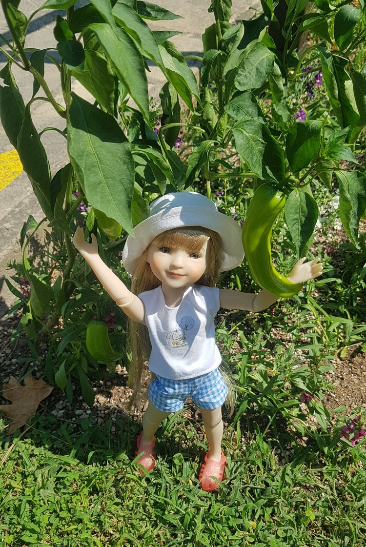 Инес на море — Куклы Ruby Red (Руби Ред) Fashion Friends: Siblies (фото 3)