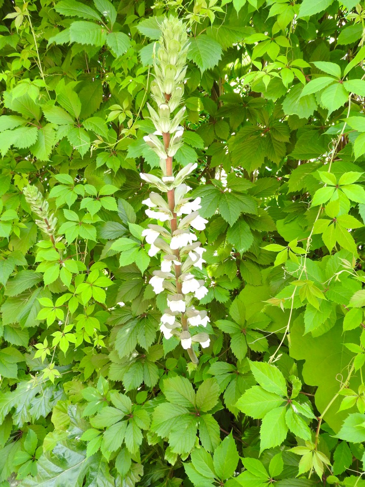 Краснодарский Край, Сочи-Адлер, Санаторий «Южное Взморье»