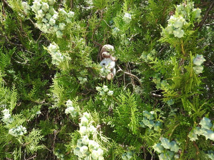 Краснодарский Край, Сочи-Адлер, Санаторий «Южное Взморье»