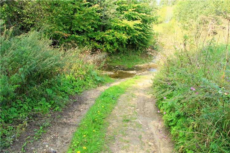 Старицкая Швейцария. Путешествие с Сашей, продолжение. Уникальная кукла от Сильвии Наттерер