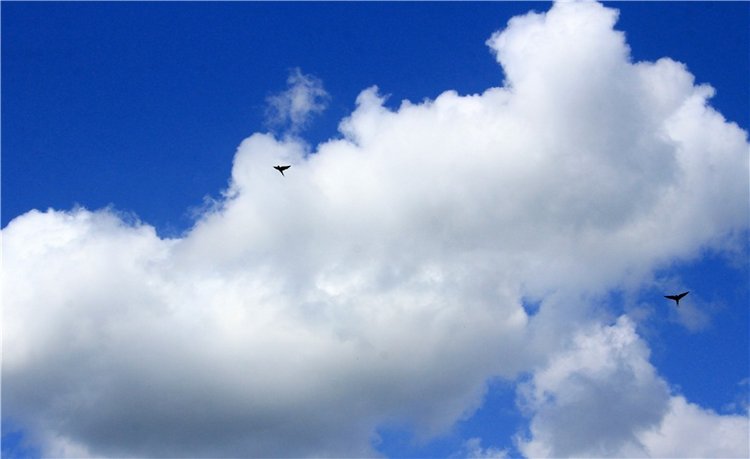 Августовская прогулка в Берново. Zwergnase Mischa (фото 2)