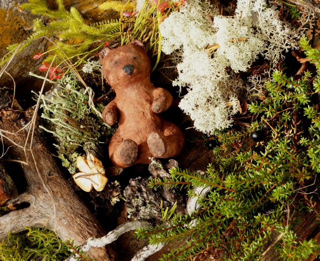 Осенний натюрморт — Другие хобби и увлечения: сад