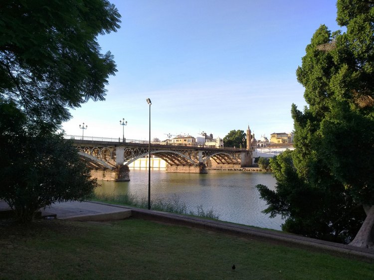 Тайна моего имени. Часть 8. Продолжение. Испания, Севилья. Удивительные вещи (фото 7)