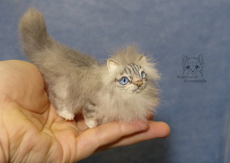 Котята Невские маскарадные, окрас Тэбби пойнт