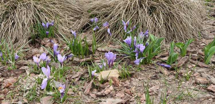 Москва, медвежата, зайчата, куклята на Тишинке 2019 | Бэйбики Москва, медвежата, зайчата, куклята на Тишинке 2019 (фото 2)