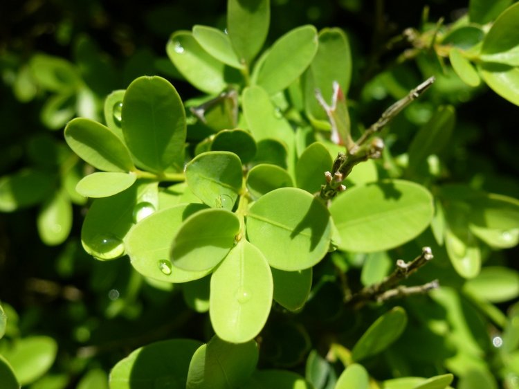 Сочи-Адлер: Южное Взморье - виртуальное путешествие по территории санатория