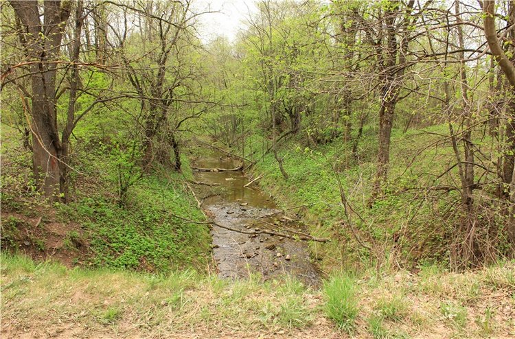 Заблудилась. Georgia от Berdine Creedy