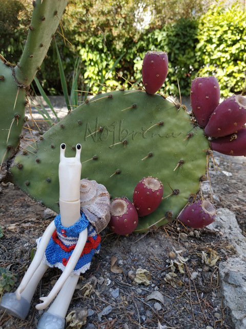 Wonderfrog. Красота в простоте. Часть 3