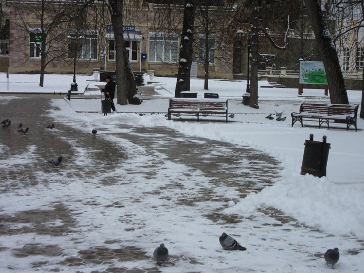 Кисловодские приключения. Шо, опять