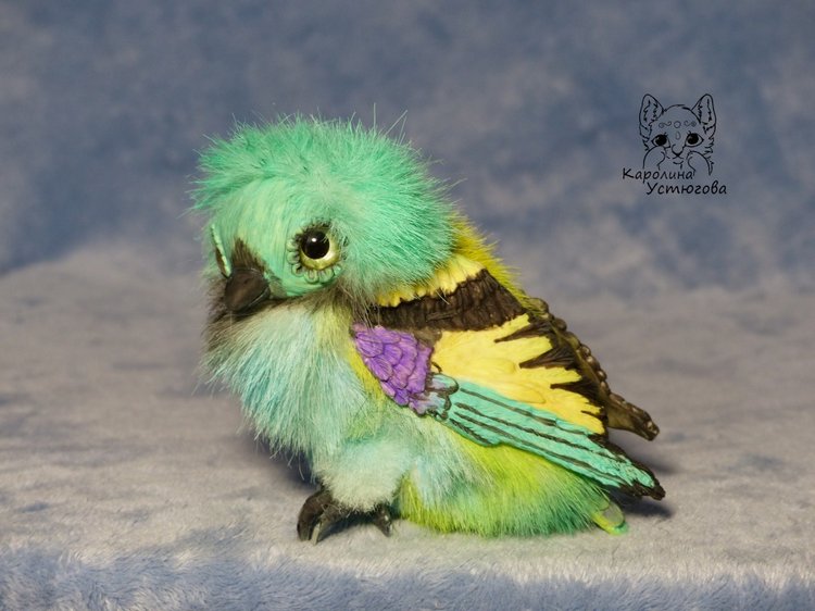 Зеленоголовая танагра, чудо птичка