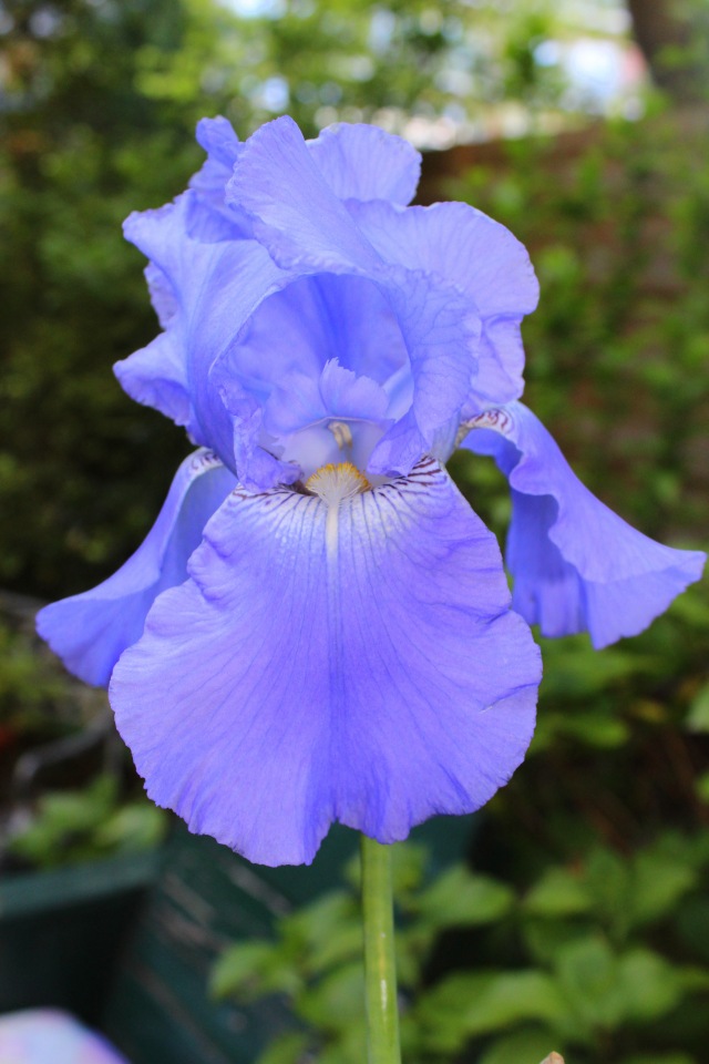 Любовь нечаянно нагрянет — Фэшн (фото 8)