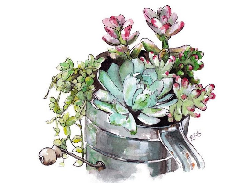 TheColorfulCatStudio - Иллюстрированная флора by Rachel Byler