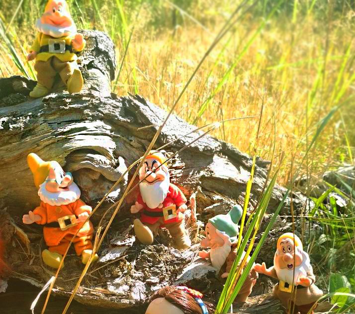 Осеннею порой под старою сосной... Принц, Белоснежка и гномы... встречаются