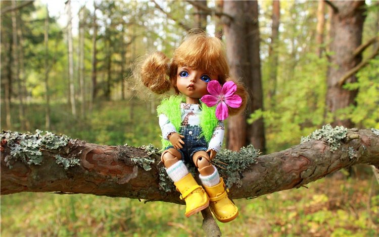 "Бабье Лето" на Водопаде, продолжение