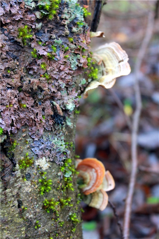 Братья Зайкины на Водопаде