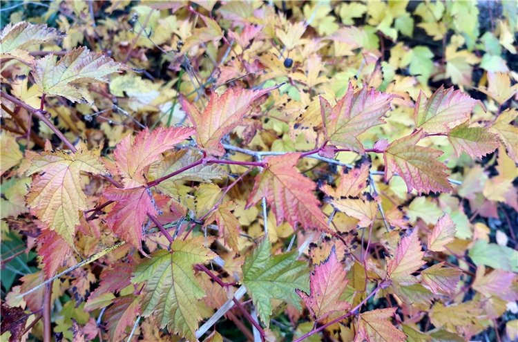 Путешествие по Святым местам Тверской области, продолжение