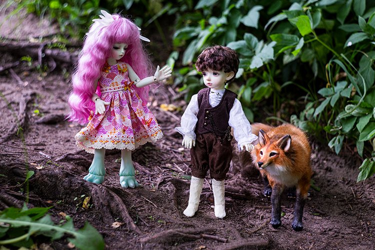 Сказки Волшебного Леса. Часть 1