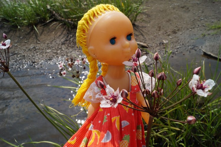 За хорошими эмоциями с семьёй на речку