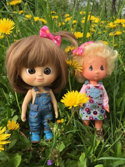 Поездка на дачу с Mui-chan, Migliorati и Sonny angel