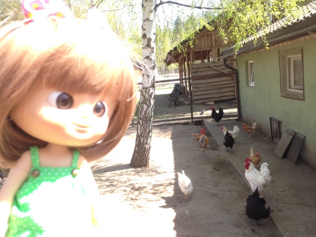 Как мы побывали в Некотором царстве ... с Mui-chan