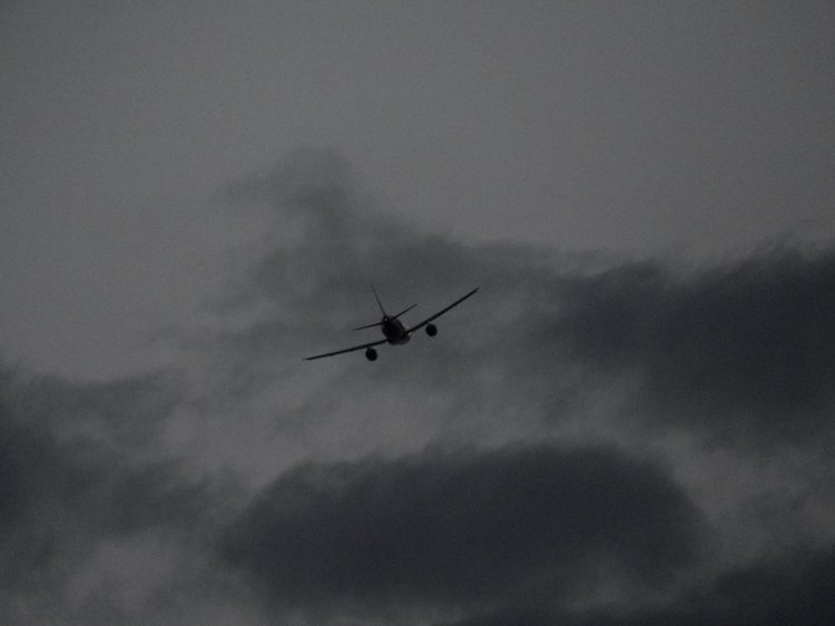 Краснодарский Край, Сочи-Адлер, Санаторий «Южное Взморье»