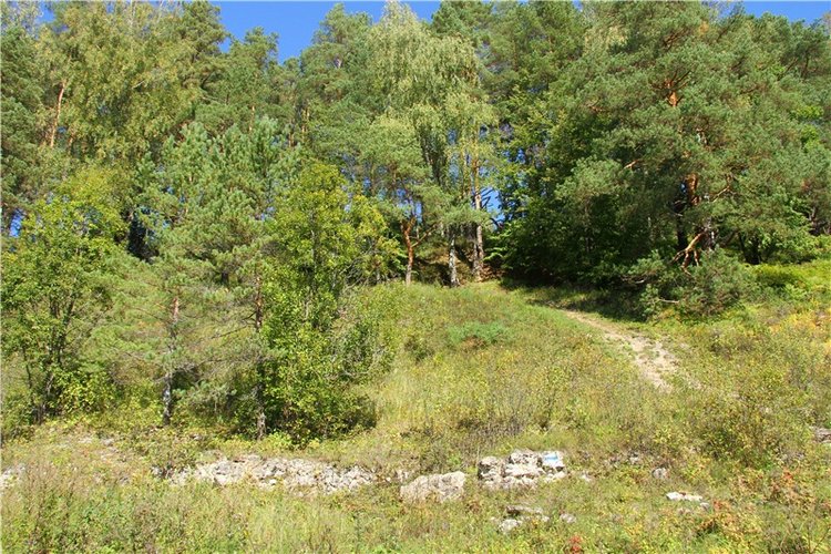 Старицкая Швейцария. Старицкие пещеры, д. Толпино, заключительная часть