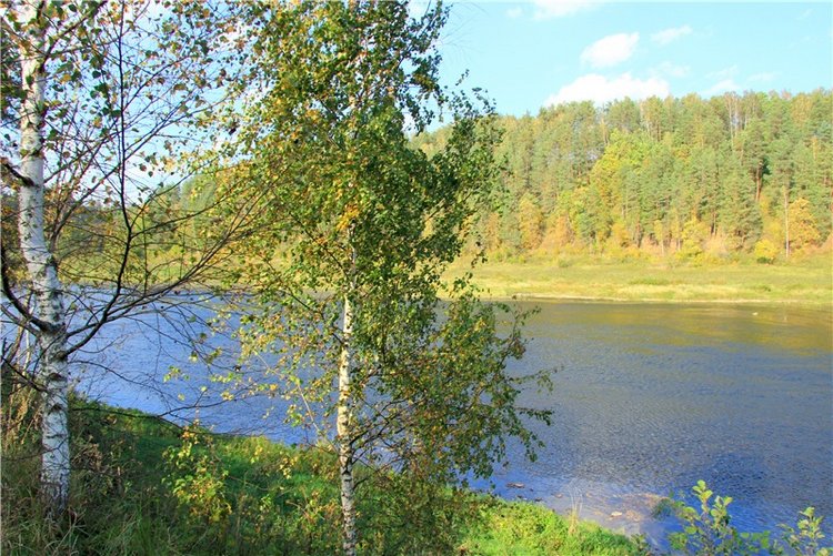Нийя. Воспоминание об осени, Чукавино, Эко-Лэнд