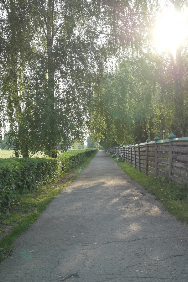 Есенинские тропинки. Часть 2