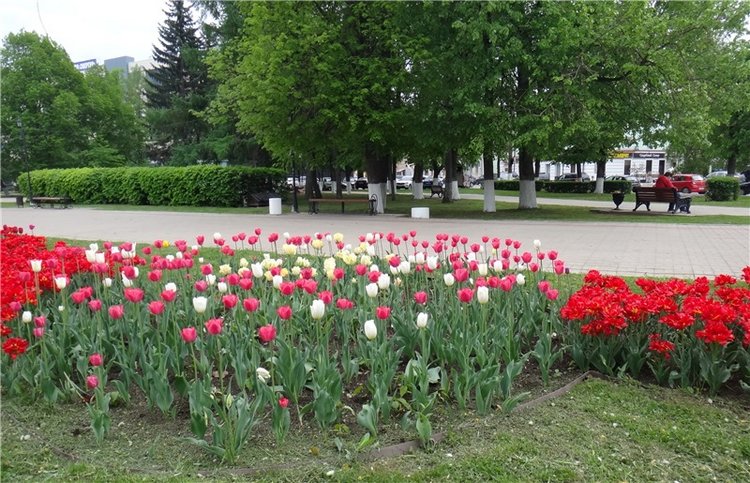 Милый мой город. Прогулка по Твери, продолжение