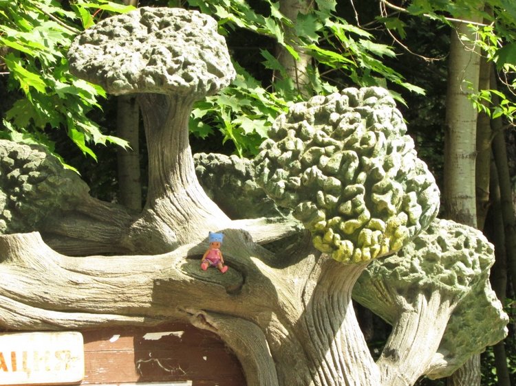 Малышня на прогулке в Бирюлёвском дендропарке