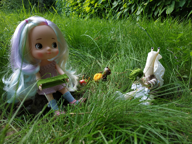 Wonderfrog. Красота в простоте