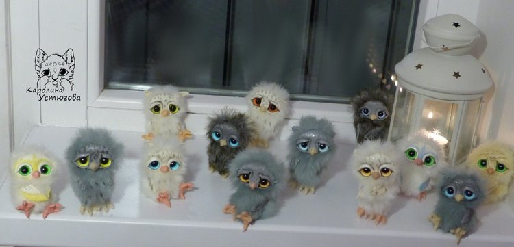Совята в ожидании Новогодних праздников