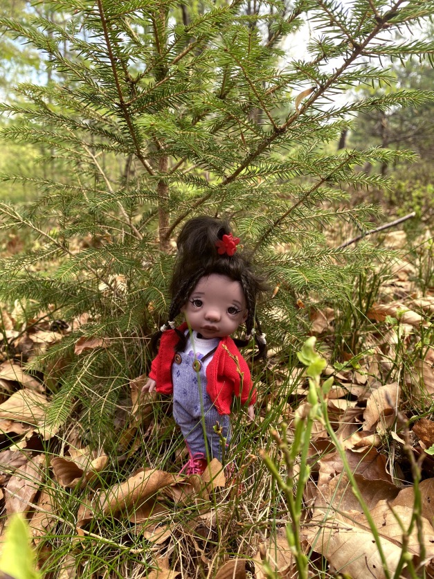 Фотоистории с куклами BJD (БЖД): сериалы (фото 9)