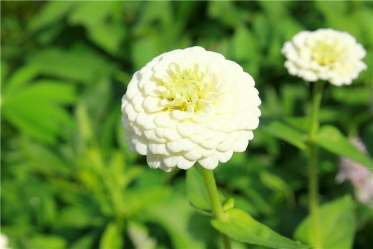 Сентябрьское путешествие в Старицу. Старицкий Свято-Успенский Монастырь