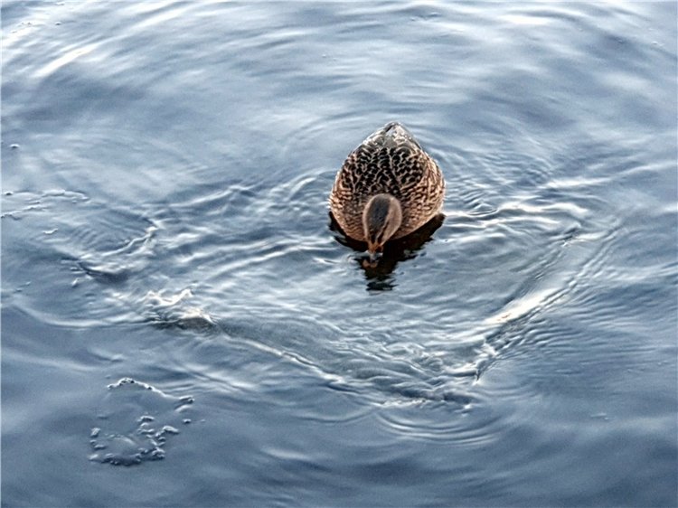Декабрьская Тверь — Туризм и путешествия: фотоотчеты из поездок