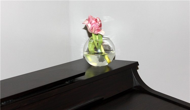 Выставка "Стекляндия" Елены Буровой в Твери