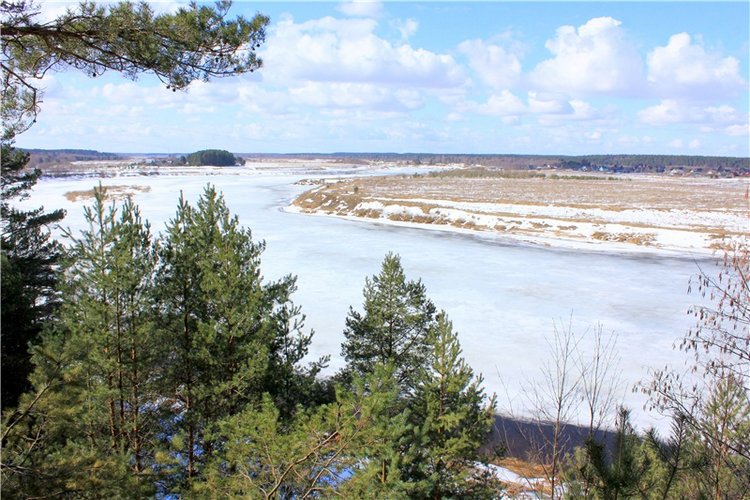 Весна в "Саду Камней" | Бэйбики Весна в "Саду Камней" — Куклы Meadow dolls (Медовушки): BJD (БЖД) (фото 7)