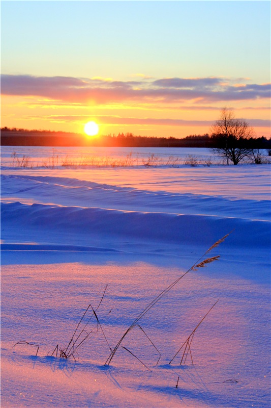 Зимняя прогулка Сони. Уникальная кукла от Сильвии Наттерер