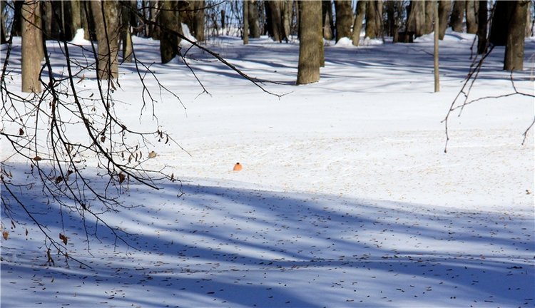 Снежный Март — Туризм и путешествия: фотоотчеты из поездок