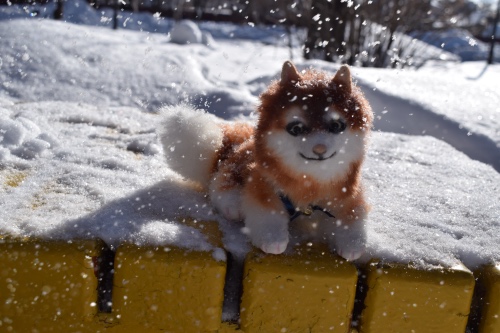 Милый... милый Хатико — Домашние фото авторских игрушек: Тедди (фото 6)