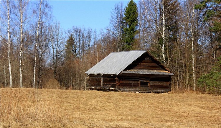 Апрельский день в Василёво, заключительная часть (фото 9)