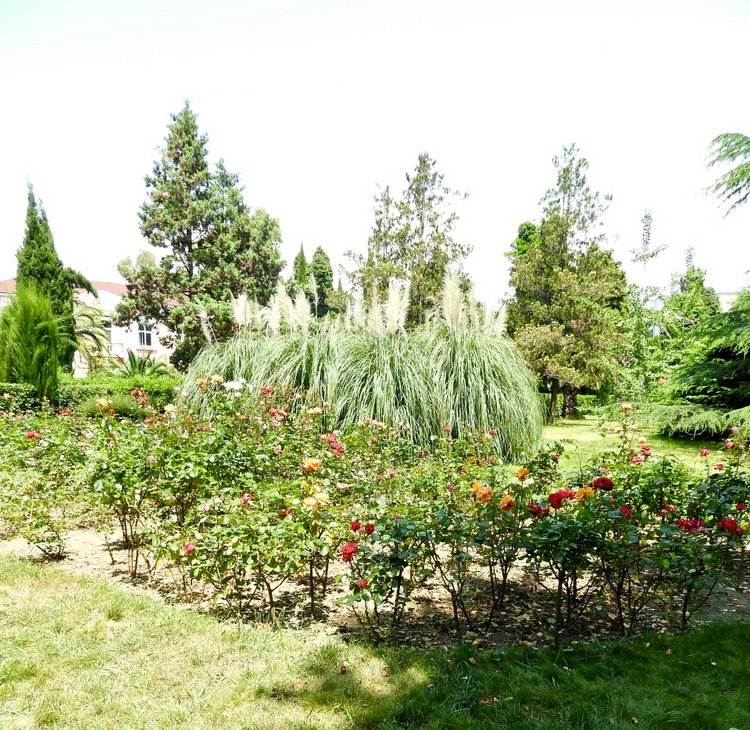 Краснодарский Край, Сочи-Адлер, Санаторий «Южное Взморье»