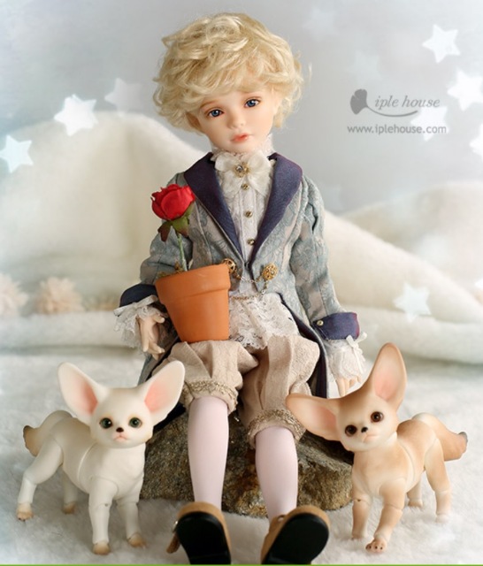 Новинки от Iplehouse - Маленький принц Fay (формат KID) и лис Fennec Fox (фото 6)