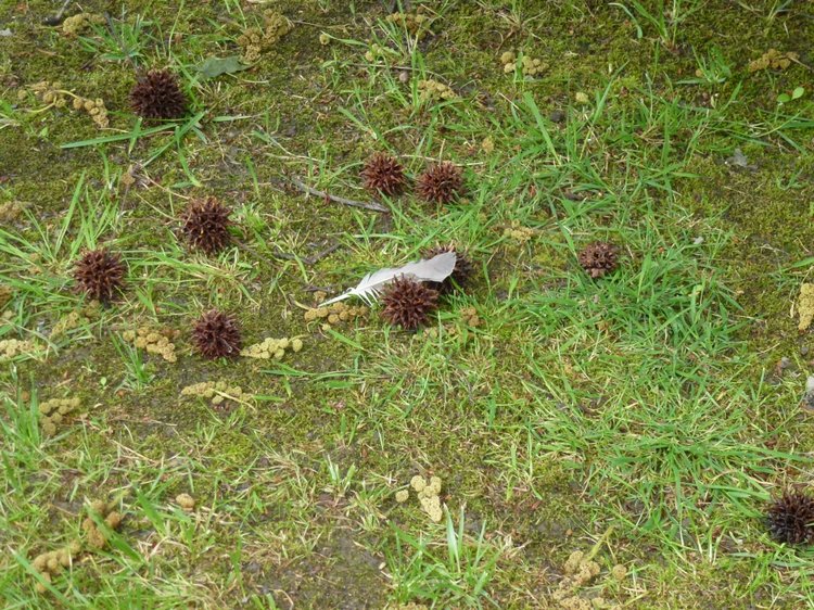 Сочи-Адлер: Южное Взморье - виртуальное путешествие по территории санатория